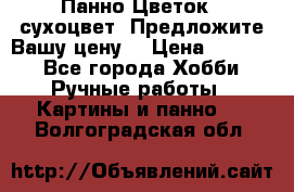 Панно Цветок - сухоцвет. Предложите Вашу цену! › Цена ­ 4 000 - Все города Хобби. Ручные работы » Картины и панно   . Волгоградская обл.